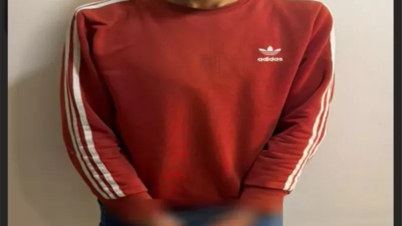 ضبط 
