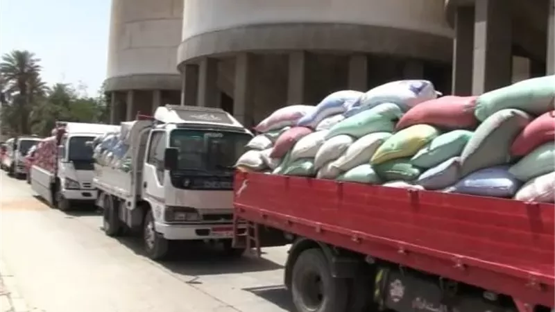 محافظ سوهاج يعلن توريد 57 ألف طن قمح وتجهيز 15 موقعاً تخزينياً