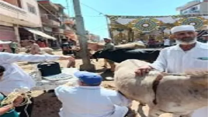 علاج 7141 رأس ماشية ضمن خطة استراتيجية لتنمية الثروة الحيوانية