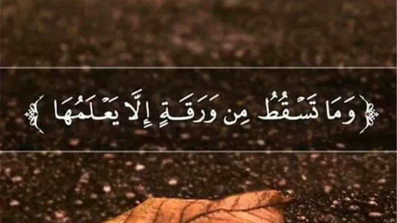 تشريح دقيق للإحاطة الكونية في سورة الأنعام لمعالجة القلق