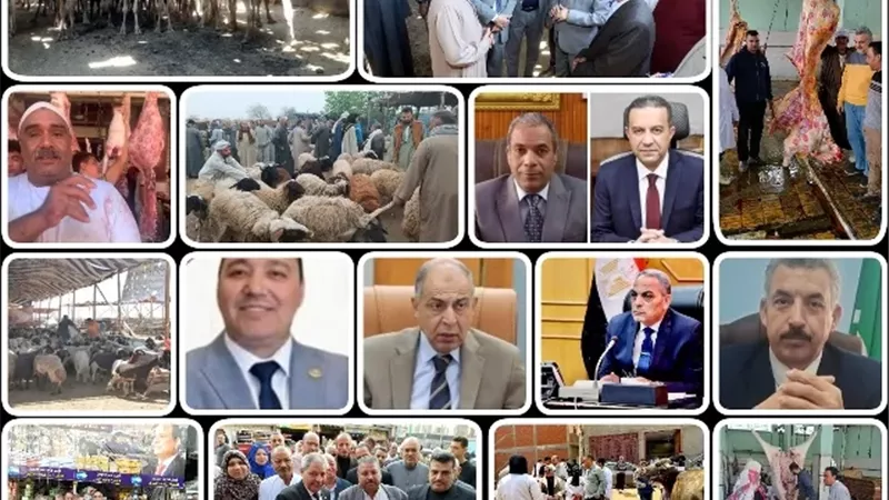 ضبط الأسواق ومنع العشوائية.. تحركات مكثفة لحماية المواطنين