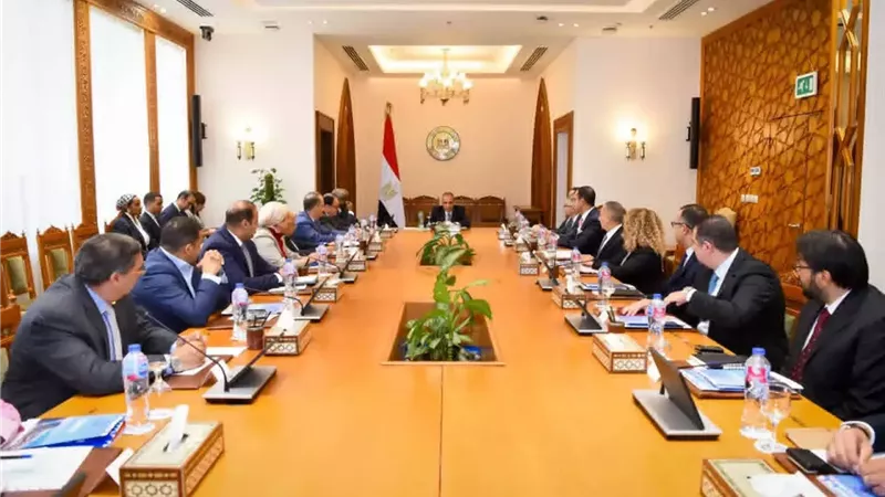 وزير الخارجية يلتقي ممثلي الشركات المصرية العاملة في أفريقيا