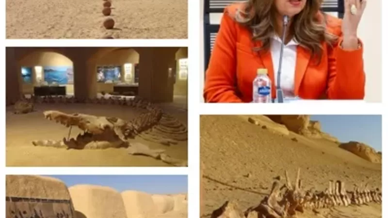 تجديد إدراج وادي الحيتان بالقائمة الخضراء 5 سنوات