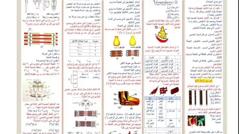 أقوي مراجعة نهائية في الأحياء للثانوية العامة 2026