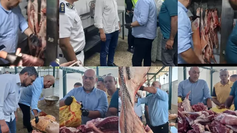 بيطري القليوبية تضبط لحومًا غير مطابقة وسلخانة مخالفة بمدينة العبور