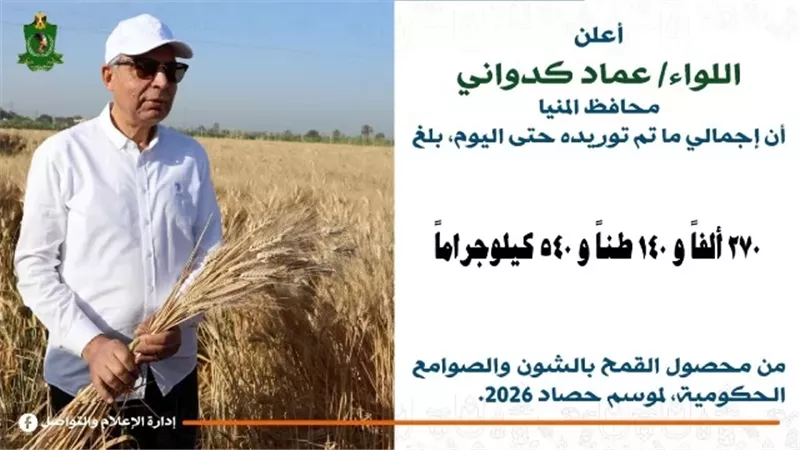 توريد القمح يتخطى 270 ألف طن منذ انطلاق موسم 2026 بالمنيا
