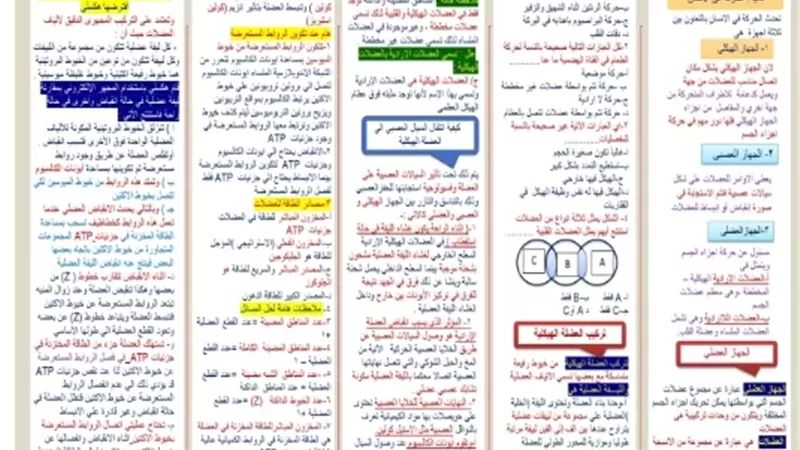 مراجعة مهمة في الأحياء لطلاب الثانوية العامة 2026