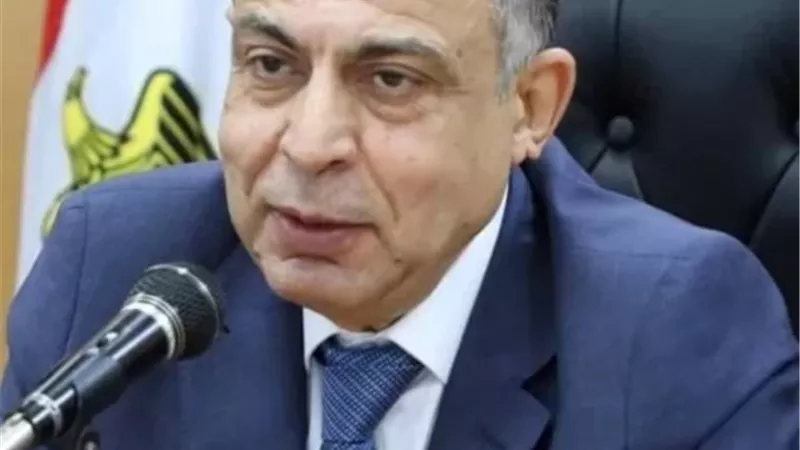 محافظ المنيا يتابع فعاليات مبادرة «رخصتك في محلك لتراخيص المحال