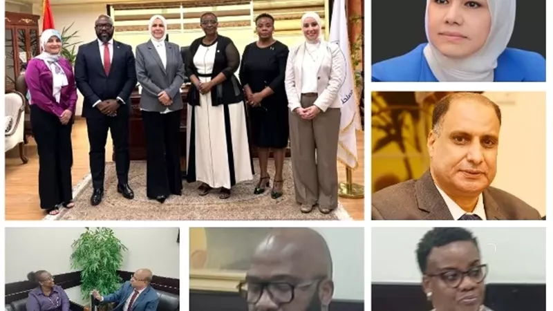 القاهرة مركز إقليمي للتدريب الضريبى