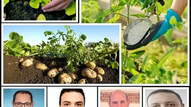 الزراعة النظيفة.. ضرورة اقتصادية لحماية الأمن الغذائي وتعزيز الصادرات