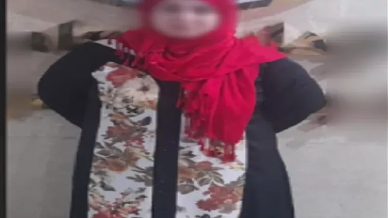 ضبط سيدة تخصصت في تقليد الأختام والنصب الإلكتروني بالجيزة