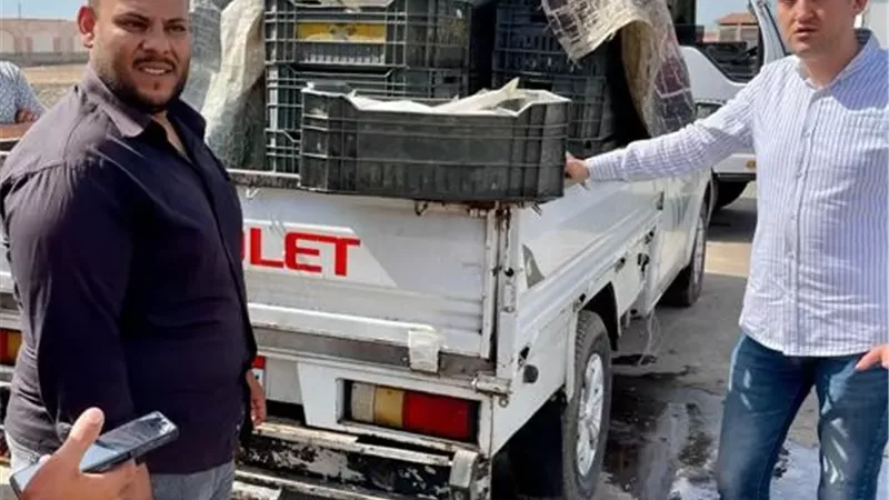 ضبط 1.5طن أسماك غير صالحة للاستهلاك الآدمي بمركزالرياض كفر الشيخ