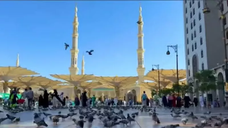 الداخلية تواصل تقديم الخدمات المتكاملة لحجاج القرعة بالمدينة المنورة .. فيديو