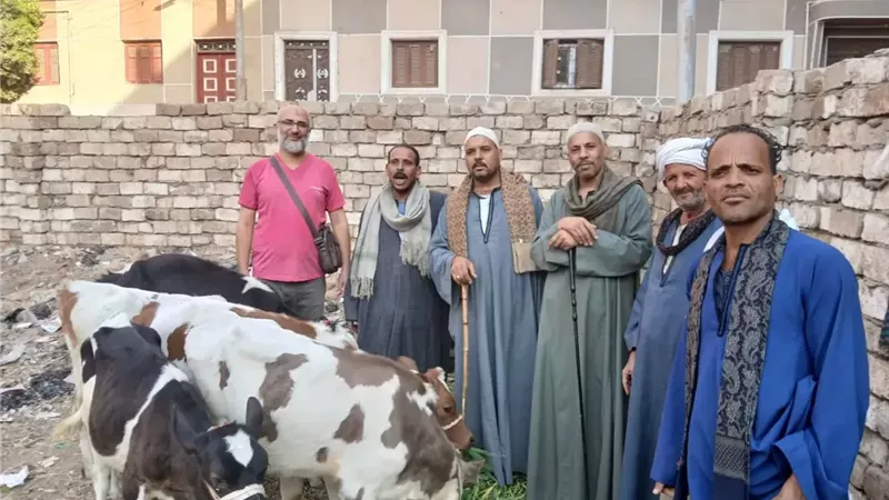 تحصين أكثر من 35 ألف رأس ماشية فى أسيوط