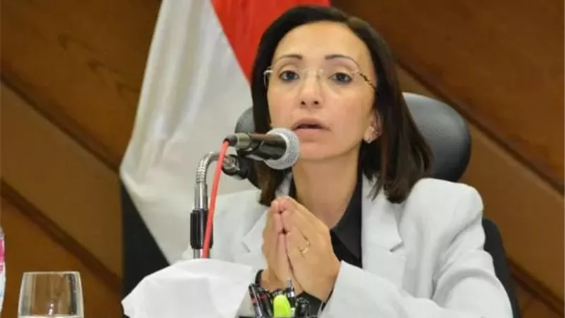 حصاد البحيرة يتلألأ.. 241 ألف طن قمح محلي في الشون والصوامع