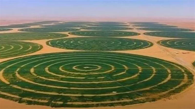 الدلتا الجديدة اكبر مشروع زراعي تنموي متكامل في مصر