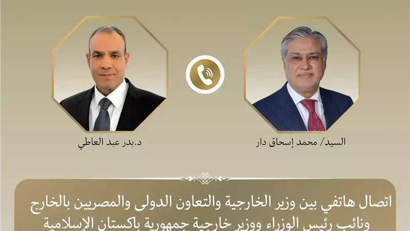 وزير الخارجية يبحث مع نظيره الباكستاني خفض التصعيد الإقليمي