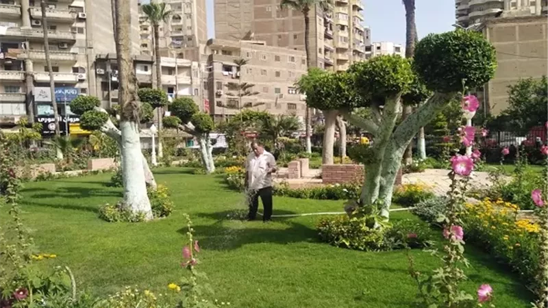 تطوير المسطحات الخضراءوالحدائق العامة بالمنتزة