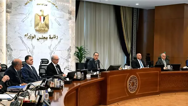 الوزراء: استمرار العمل عن بُعد يوم الأحد من كل أسبوع خلال 