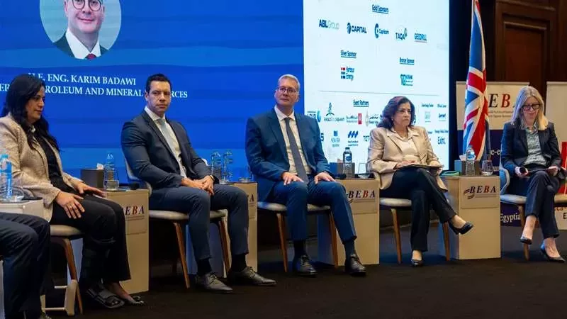 بدوي:خفض مستحقات الشركاءالأجانب من6.1 ملياردولارلـ440مليون دولار