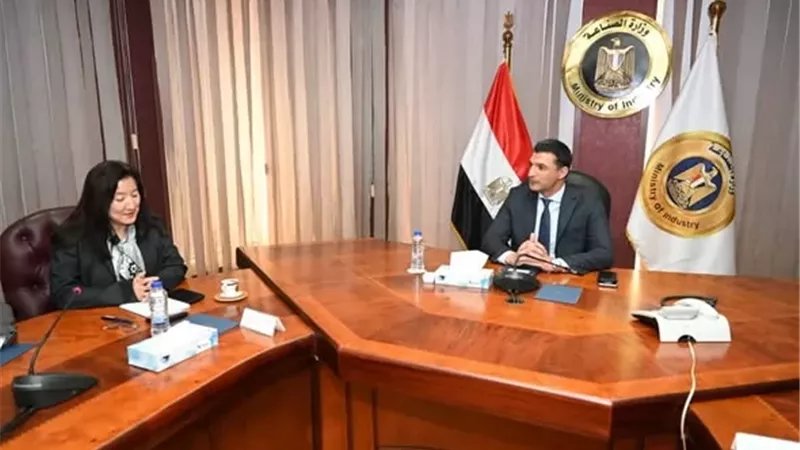 وزير الصناعة يبحث مع برنامج الأمم المتحدة الإنمائي تعزيز التعاون