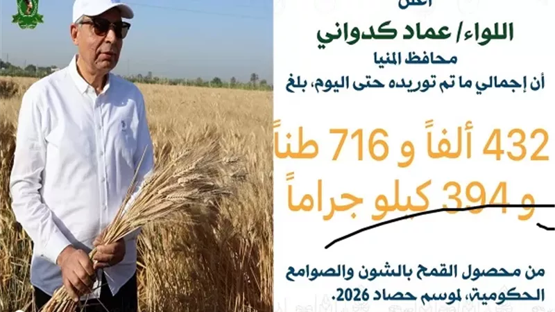 حصاد التوريد بمراكز محافظة المنيا يتجاوز 432 ألف طن قمح