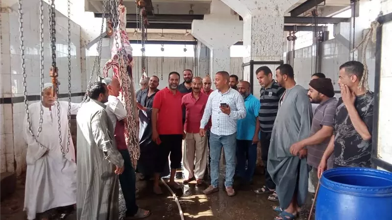 جاهزية 38 مجزرًا حكوميًا مجانًا بالمنيا و منع الذبح خارج المجازر