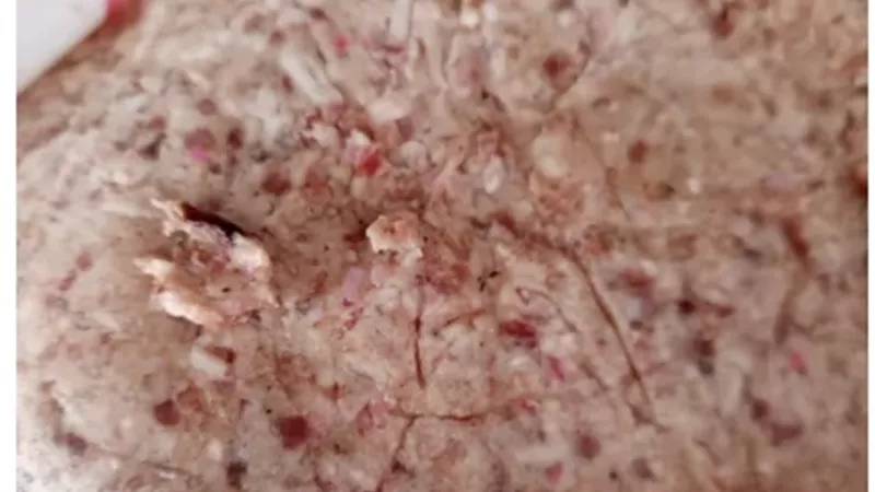 الطب البيطرى بالأقصر يضبط لحوم ومصنعات غير صالحة للاستهلاك