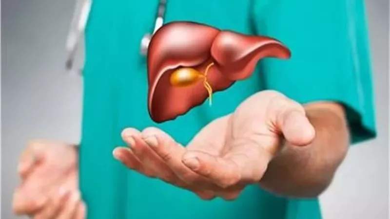 منها المكسرات..أطعمة تحمي الكبد وتعزز وظائفه