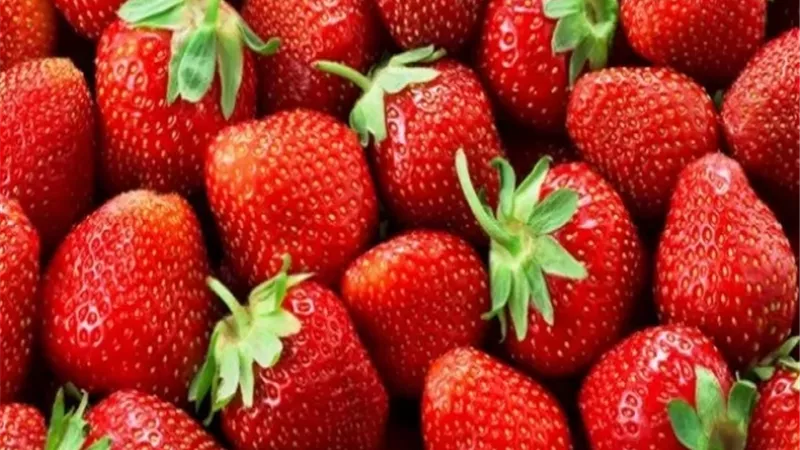 خبراء تغذية يحددون الكمية الآمنة لتناول الفراولة يوميا