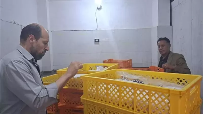ضبط 3 أطنان مجزئات دجاج ودقيق مدعم قبل بيعها في الإسماعيلية