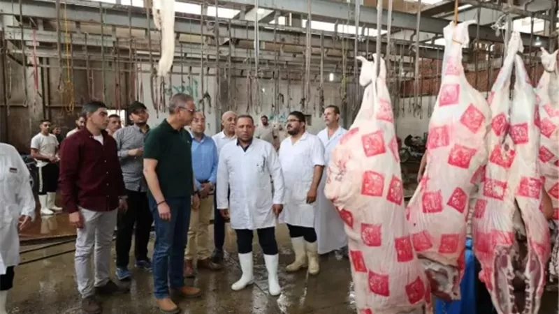 الزراعة: ذبح 12 ألف أضحية مجانًا للمواطنين ثاني أيام عيد الأضحي