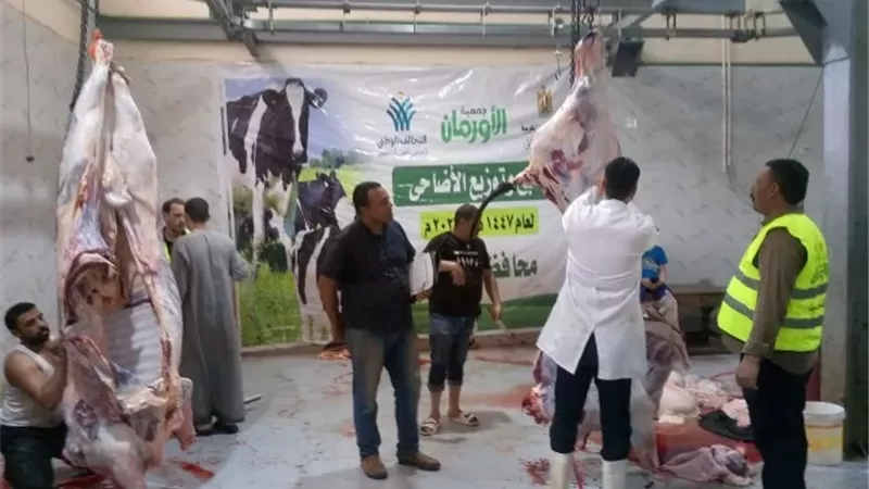 محافظ أسيوط: 327 ذبيحة بالمجازر الحكومية في ثاني أيام العيد