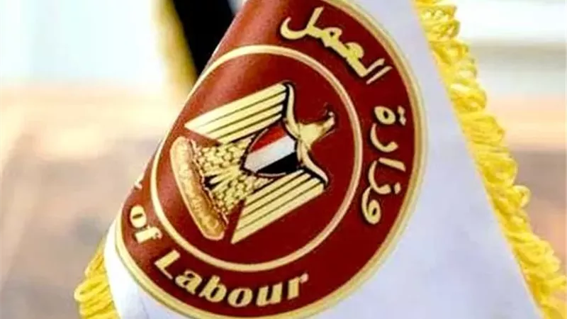 وزارة العمل: فرص عمل جديدة في طنطا برواتب تصل لـ10 آلاف جنيه