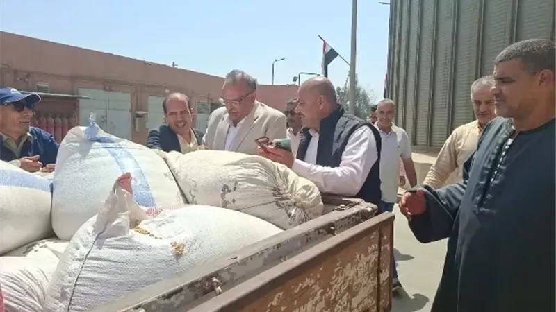 محافظ المنوفية :توريد أكثر من 140 ألف طن قمح منذ بدء موسم الحصاد