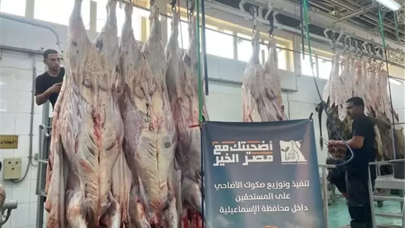 استمرار توزيع لحوم الأضاحي على المستحقين بالإسماعيلية