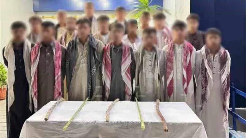 الداخلية تكشف ملابسات فيديو مشاجرة رعي الأغنام وتضبط17متهما