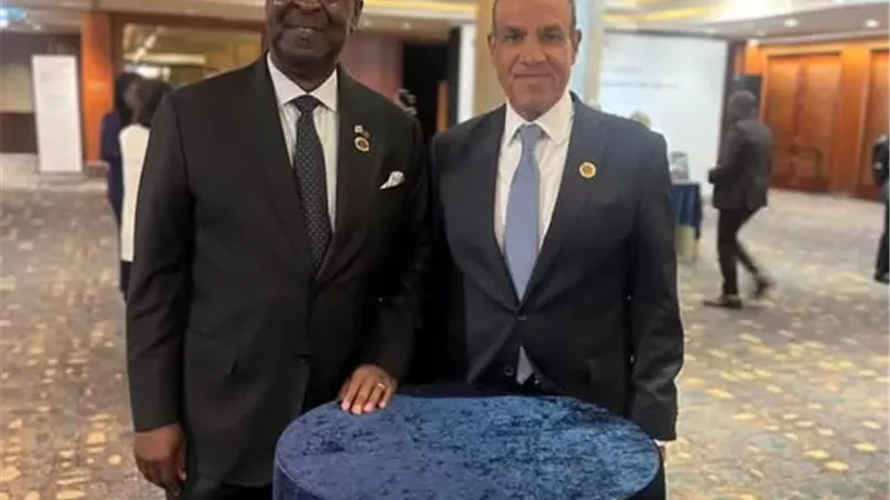 عبد العاطي يؤكد لنظيره الكيني رفض مصر للإجراءات الأحادية في حوض النيل