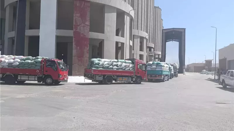 محافظ أسيوط: معدلات توريد القمح المحلي تواصل الارتفاع