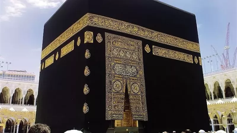 حكم