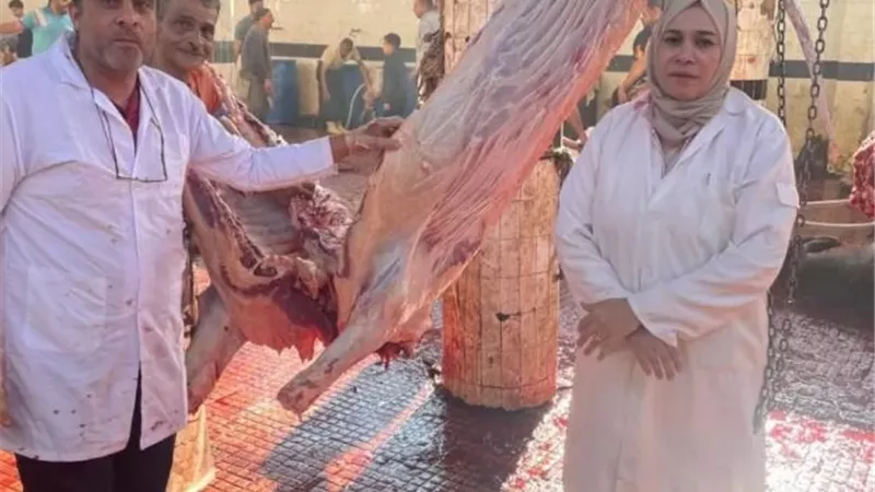 الزراعة: ذبح 35,514 أضحية بالمجازر الحكومية مجاناً للمواطنين