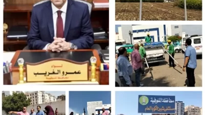 بعد سنوات من الصمت.. مفاجآت كبيرة تنتظر أرض المهبط بشبين الكوم