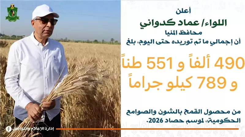 تخطي مستهدف توريد القمح بالمنيا بنسبة 15%واستلام أكثر من 490 ألف