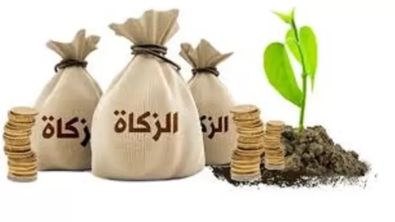 حكم زكاة الأسهم المدخرة