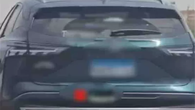 الأمن يضبط قائدة سيارة دهست سيدة على الطريق السريع