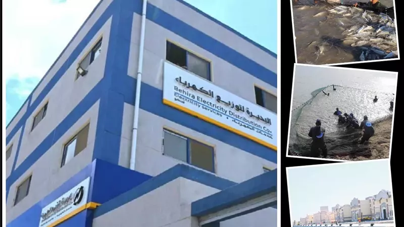 قطار التنمية.. ميلاد جديدة للأقاليم