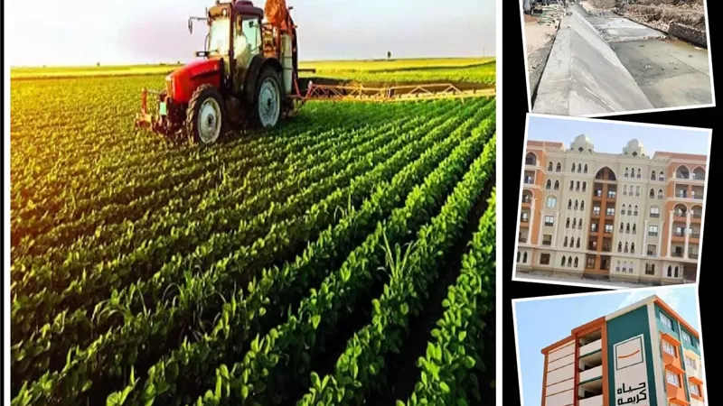 الزراعة والأمن الغذائى.. توسع أفقى واستصلاح ملايين الأفدنة