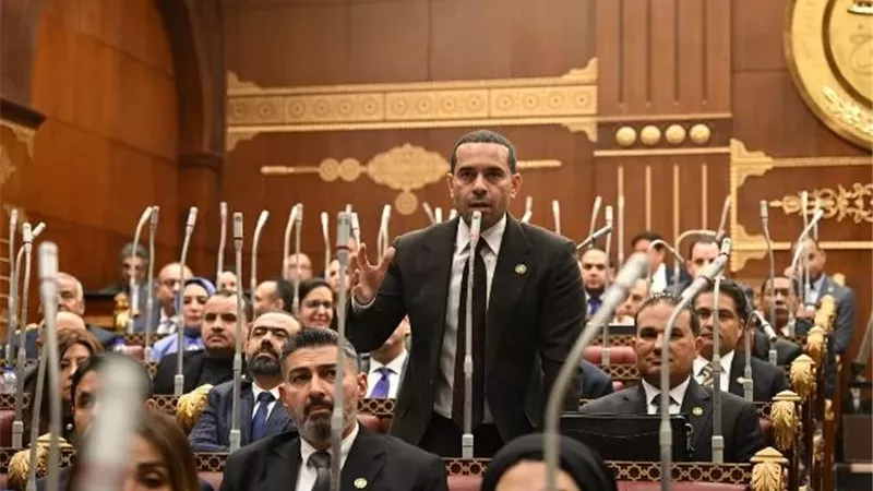 زكى: نجاح خطة التنمية يتطلب مؤشرات أداء واضحة وقابلة للقياس
