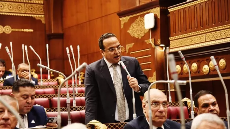 أحمد الفار:خطة التنمية الاقتصادية طموحة وتدعم مختلف قطاعات الدولة