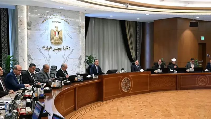 رئيس الوزراء: توريد 4.6 مليون طن قمح من المزارعين حتى الآن